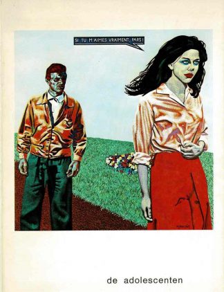 De adolescenten