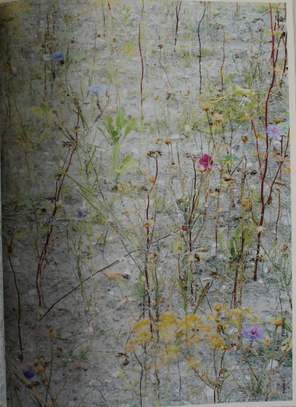 Provider magazine: Giving form to colour and texture. #2 alchemical - 2005 - Image 5
