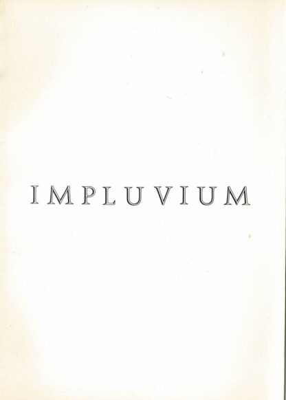 Susana Solano - Impluvium - 1989
