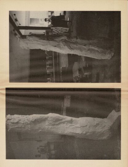 MW Press - MW n° 7 with a contribution by herman de vries - 1984 - Image 2