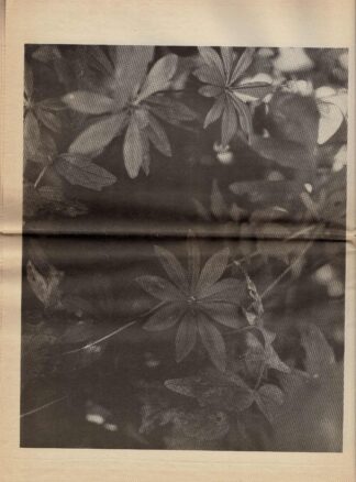MW Press - MW n° 7 with a contribution by herman de vries - 1984