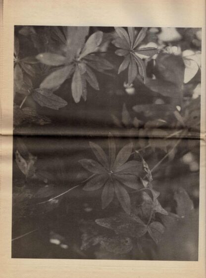 MW Press - MW n° 7 with a contribution by herman de vries - 1984