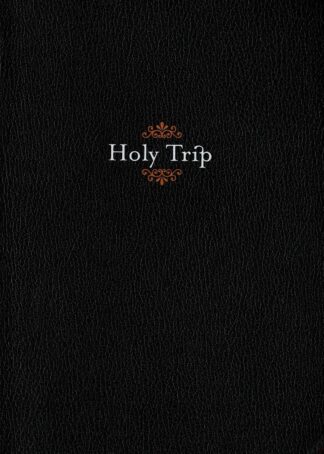 Christophe Boutin - Holy Tripp - 2004