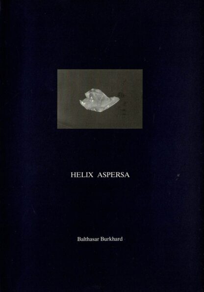Balthasar Burkhard  - Helix Aspersa - 1991