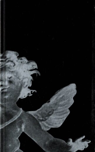Andy Wauman - Rack novel - 2007