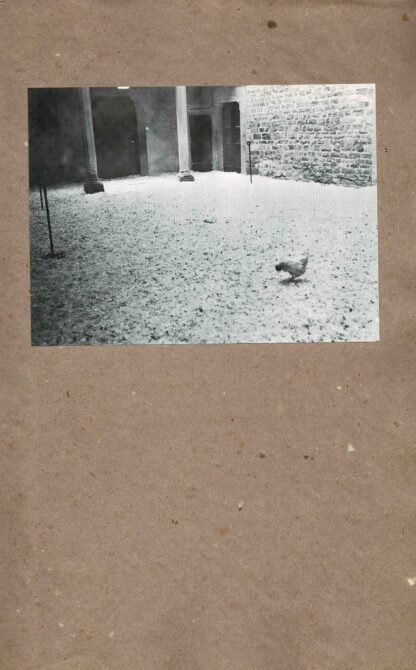 Wolf Vostell - Omaggio a Giovanna la Pazza. Napoli 1980. (N° 37/100)  -1980 - Image 4