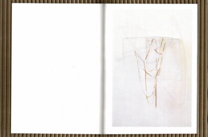 Rein Dufait  - Tesanada 7 - nr. 13/55 - 2017 - Image 3