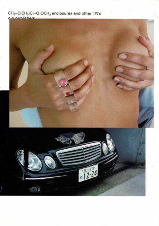 Ted Noten - CH2 =C(CH3)C(=O)OCH3 enclosures and other TN's - 2005