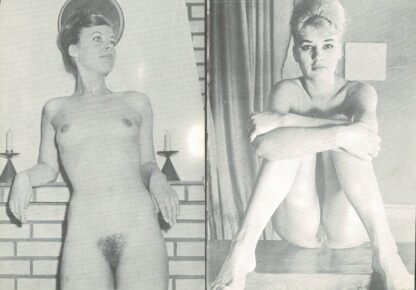 Fotosexan Vol. 6 - Image 2