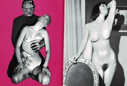 Le Sexy No. 3 - Image 2