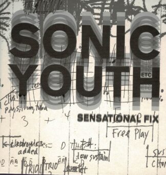 Sonic Youth ‎– Sensational Fix - 2010