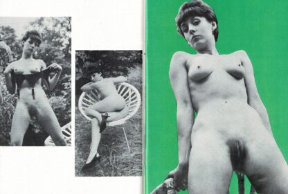 Stripper No. 4 - Image 3