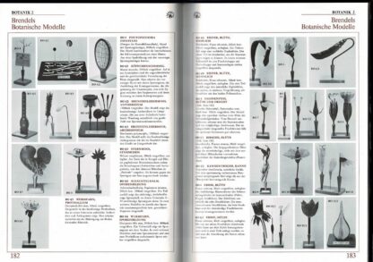 Somso Jubiläumskatalog A 72 - 1976 - Image 3