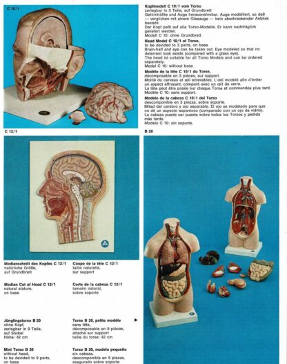 Somso Jubiläumskatalog A 72 - 1976 - Image 2