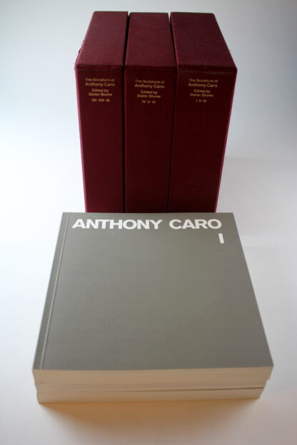 Anthony Caro Catalogue Raisonné Vol. I-IX + General Index - 1981/1990 - Image 3