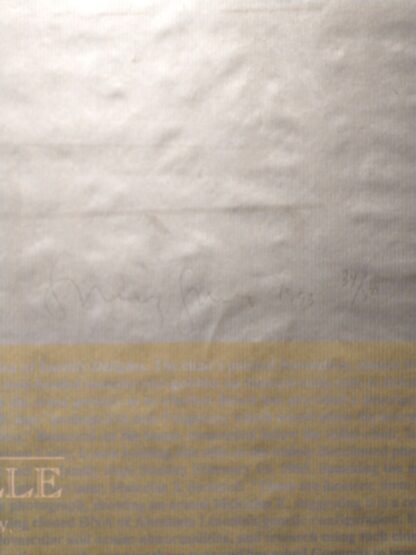 Ronald Jones - Large silkscreen exhibition poster. Signed and numbered (34/50) - 1993 - Image 2