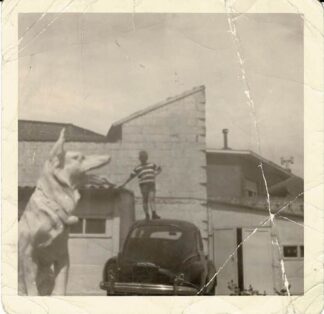 Boy standing on a car with a dog statue in the frame. - undated