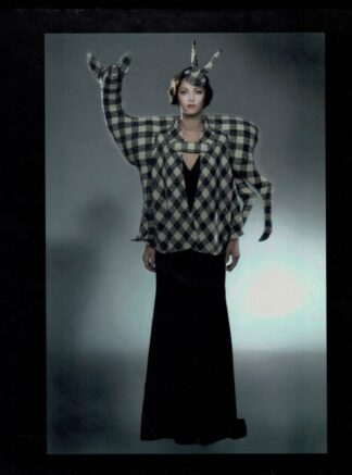 A Magazine curated by) N°D magazine featuring Olivier Theyskens