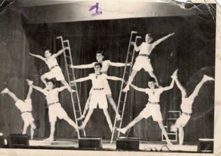 Gymnasts training with ladders (2)