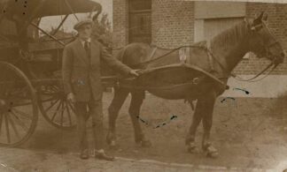 Man posing in front of his horse cart- undated