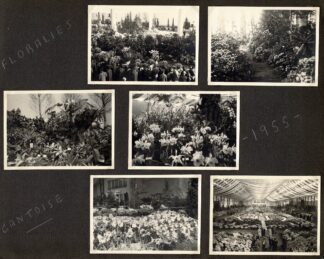 Floralies Gantoise 1955
